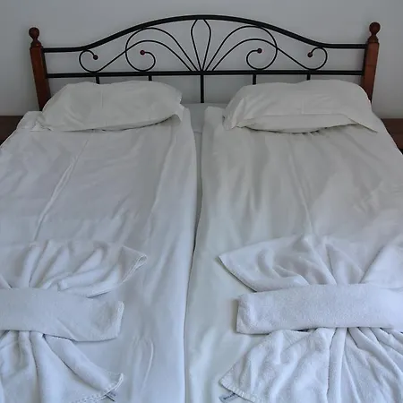 Rose Self Catering شقة