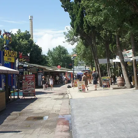 Rose Self Catering * Slăntjev Brjag